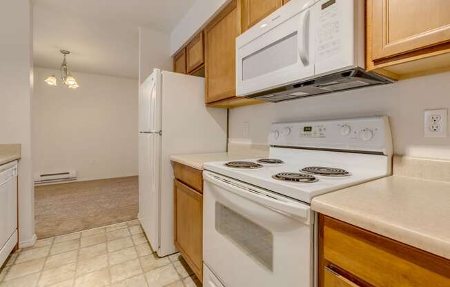 white kitchen appliances