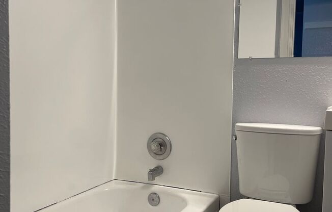 Studio, 1 bath, 240 sqft, $1,255, Unit 102