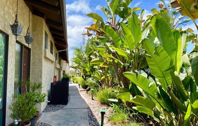 FOR RENT 1Br/1.5Ba 1,207SF Comfortable Two Story Townhome With Community Pool in La Costa