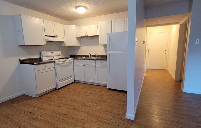 Super cute and Spacious Two-Bedroom Apartment!