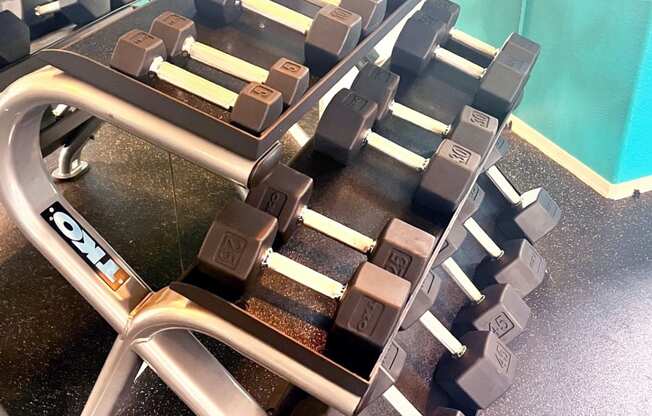 Fitness Center Weights at Ovation at Tempe Apartment Homes in Tempe Arizona