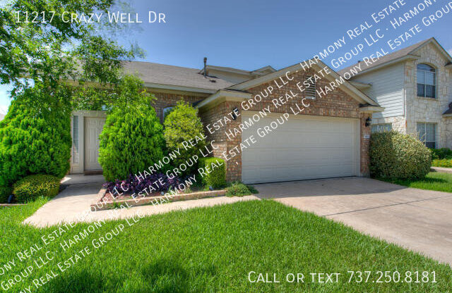 11217 CRAZY WELL DR
