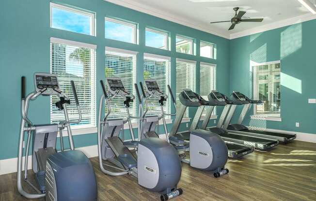 Fitness Center 4 at Dunedin Commons Apartment Homes in Dunedin, Florida, FL