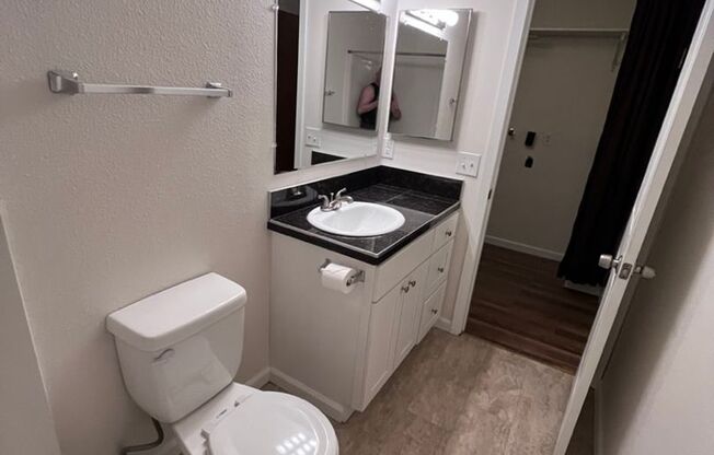 Studio, 1 bath, 350 sqft, $1,395