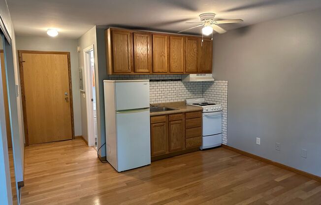 Studio, 1 bath, 400 sqft, $925, Unit Unit 205