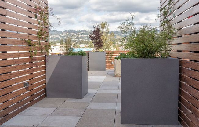 2 beds, 2 baths, 1,156 sqft, $3,518, Unit 305