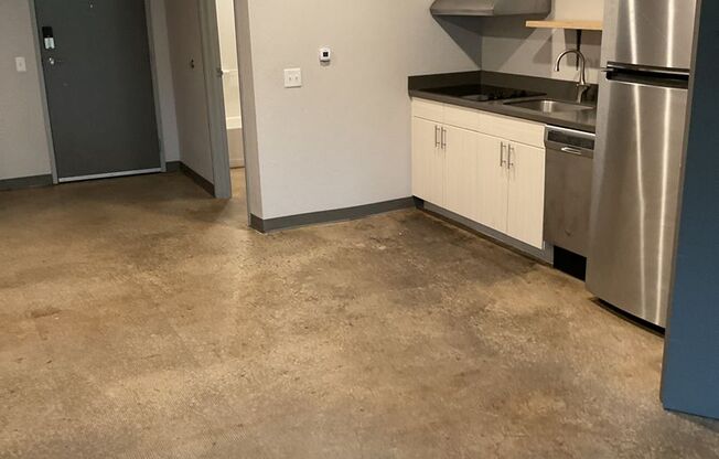 Studio, 1 bath, 735 sqft, $1,375, Unit 117