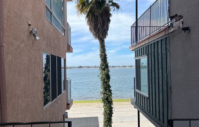 Rare Bayside Opportunity - 3802 Riviera Drive