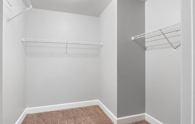 an empty closet with two shelves in an empty room with carpet