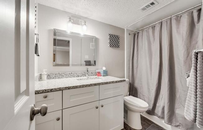 A modern bathroom featuring a white vanity with a granite countertop, a large mirror above, and a gray shower curtain. The walls are painted in a soft color, with a decorative black and white wall art piece. A towel rack holds gray towels, and the space is well-lit by wall-mounted lights.
