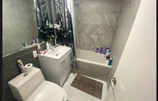 329 ALT PULASKI ST