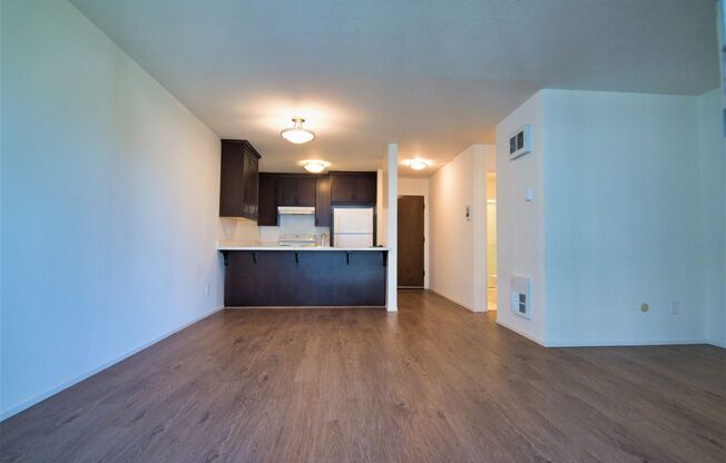 Studio, 1 bath, 475 sqft, $1,875, Unit Unit 303