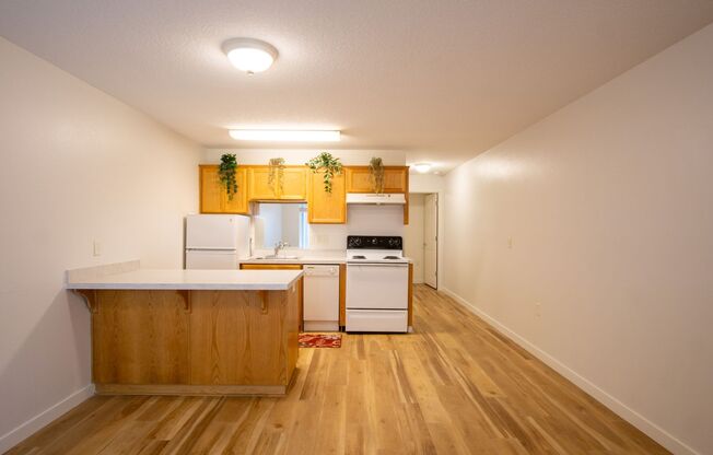 Renovated St Johns-1Bdr w/Modern Appliances + Washer/Dryer!