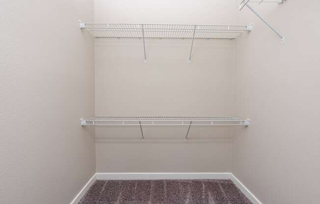 a spacious walk in closet in a 555 waverly unit