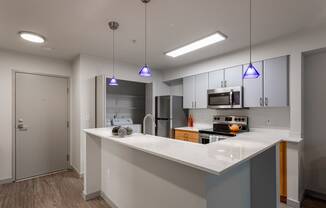 kitchens with contemporary lighting and stainless steel appliances