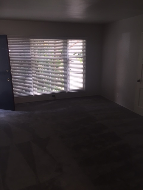 1 bed, 1 bath, $1,895, Unit 2