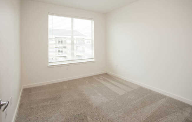 Carpeted Bedroom