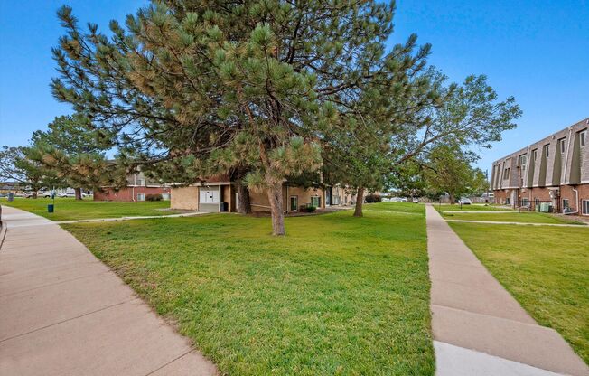 2 beds, 1 bath, 730 sqft, $1,495, Unit 234