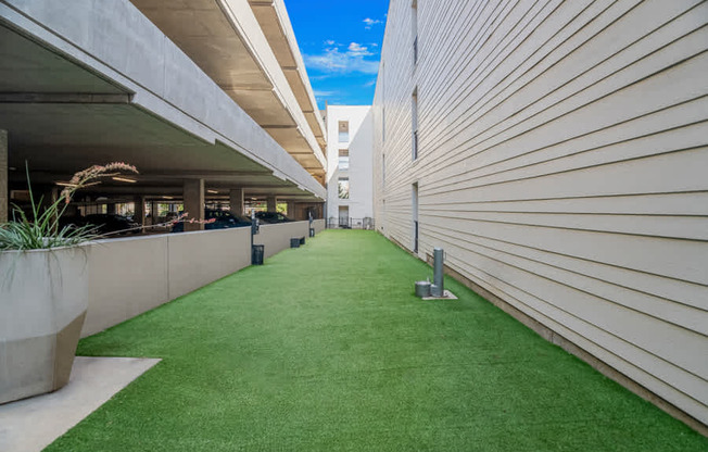 Dallas, TX Apartments for Rent in Knox-Henderson - Larq Henderson dog park