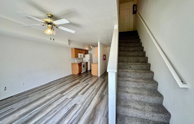 382,84,86,88 Leadora Ln.