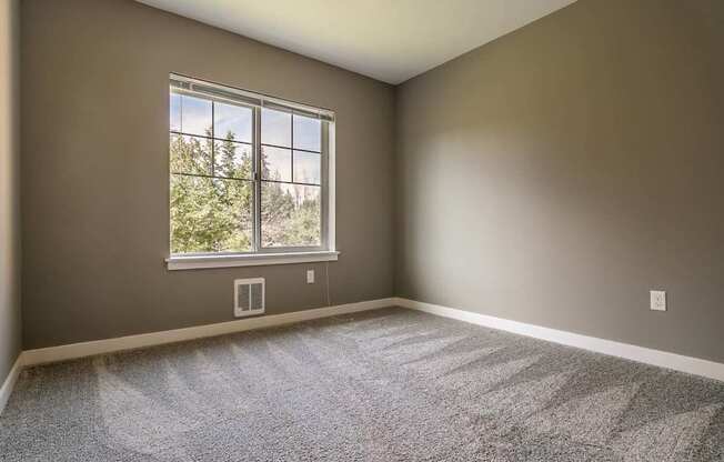 A room with a large window and carpeted floor.