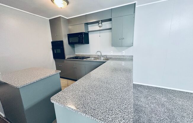 Fabulous landmark Downtown Austin property! Great downtown neighborhood!