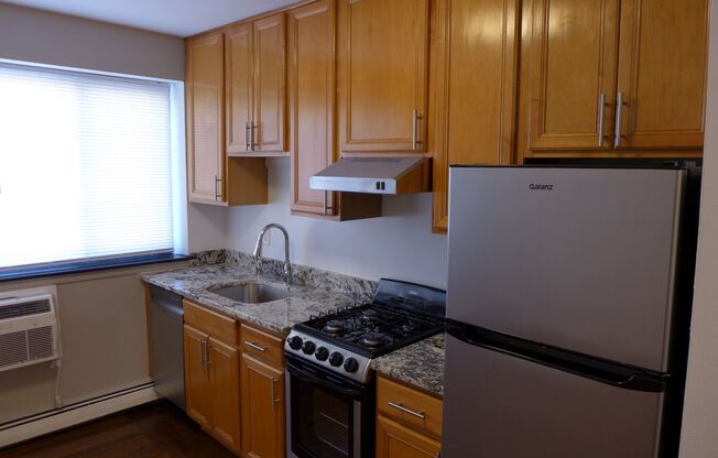 Studio, 1 bath, 305 sqft, $1,250, Unit 409