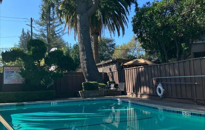 a swimming pool in a backyard with a palm tree