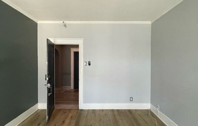 Studio, 1 bath, 375 sqft, $1,495, Unit 205