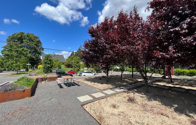 Large 3 Bedroom 2 Bathroom! In-Unit Washer & Dryer, Covered Patio & Pet Friendly!