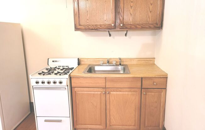 Studio, 1 bath, $775, Unit 109