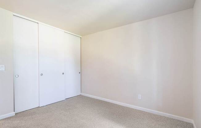 A room with white walls and a carpeted floor with three white doors.