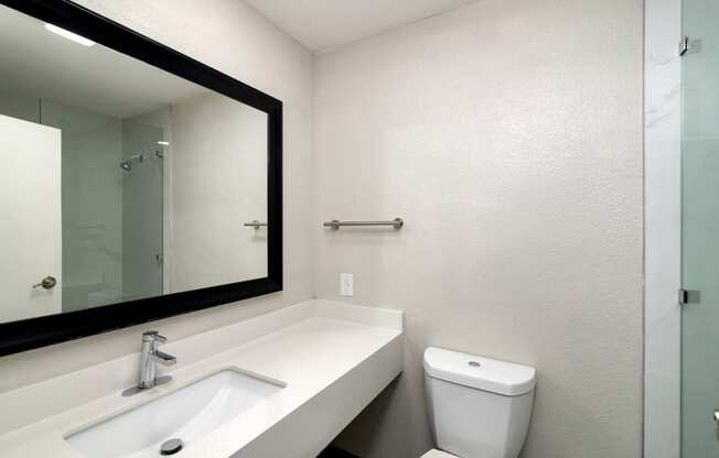 a bathroom with a sink and a mirror and a toilet