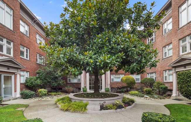 1 bed, 1 bath, 600 sqft, $1,550, Unit 321