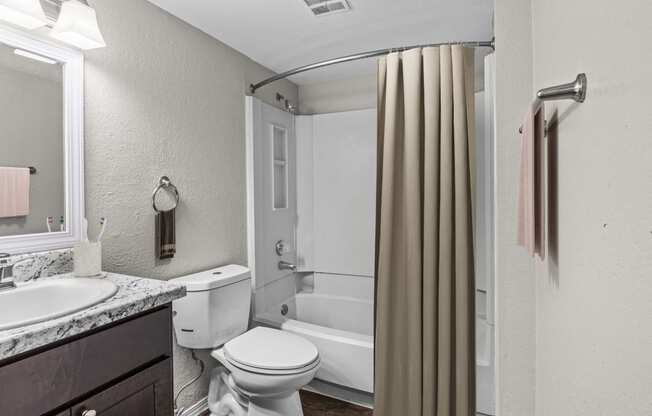 a bathroom with a shower toilet and a sink