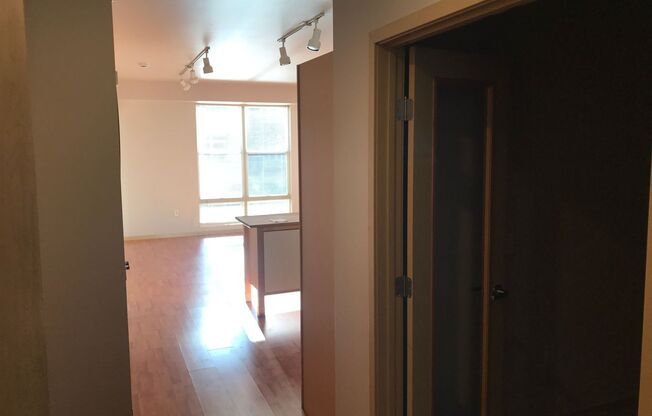 1 bed, 1 bath, 789 sqft, $1,185, Unit 101