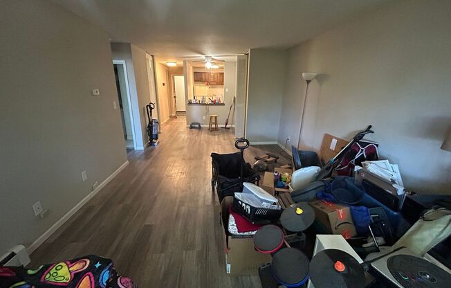 1 bed, 1 bath, $1,145, Unit 307