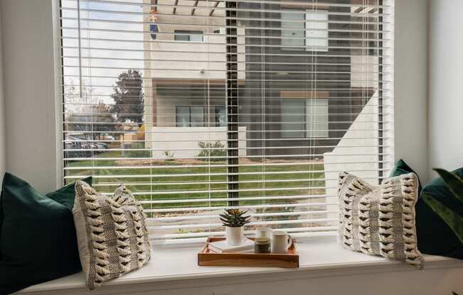 a window with pillows and a plant on a window sill