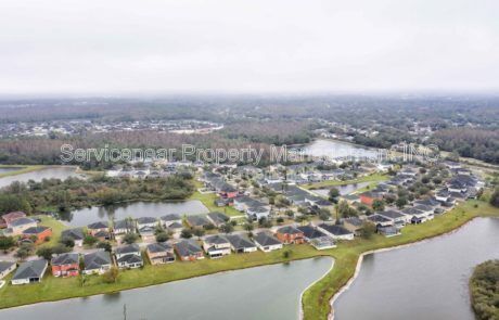 20013 SATIN LEAF AVE