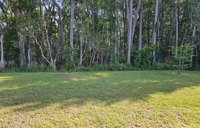 *****BEAUTIFUL 4/2 HOME IN PALM COAST