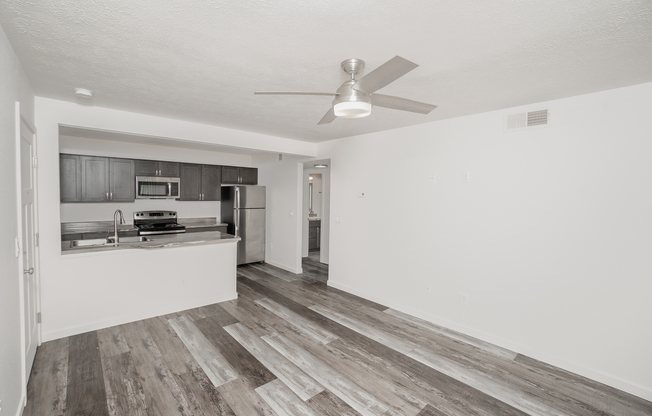 Kitchen and Living Area