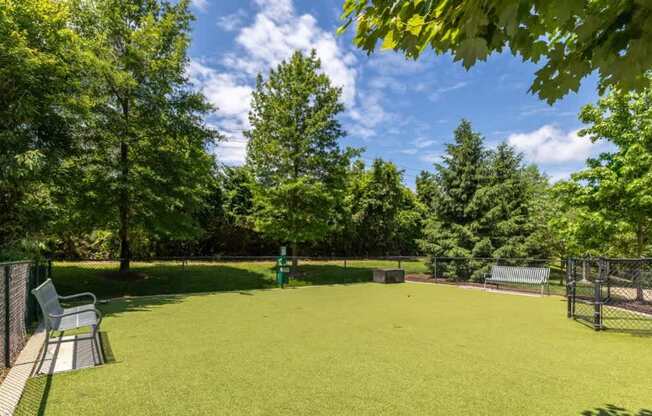 A green lawn with trees and a bench.