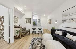 A black and white living room with a couch, chair, and rug.