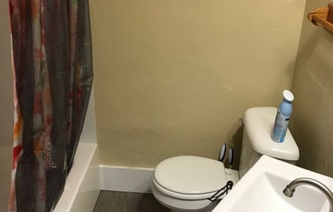 Studio, 1 bath, 500 sqft, $625, Unit 1