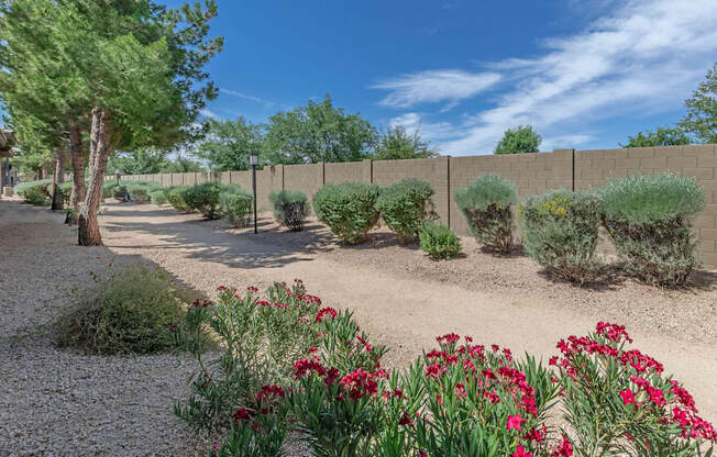 Garden at The Paseo by Picerne, Goodyear, AZ