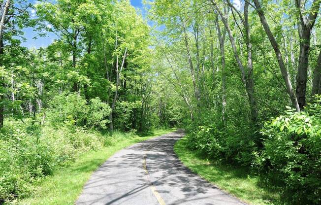 a road in the middle of a lush green forest