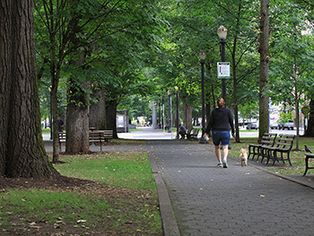 1 bed, 1 bath, 650 sqft, $1,335, Unit 101