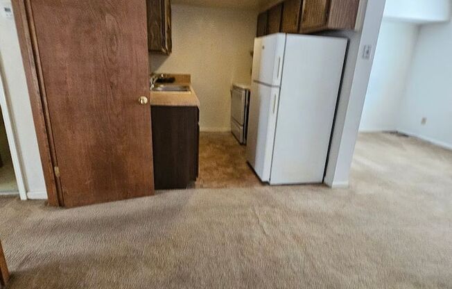 Cute One Bedroom in Norview Heights