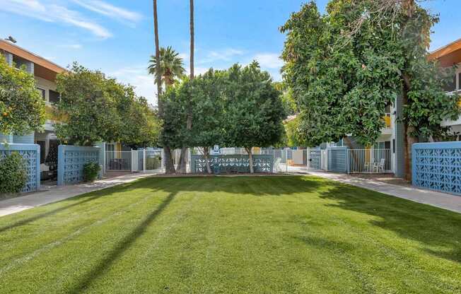 A sunny day at a park with a green lawn and trees at The Phoenix Apartments on 6th Avenue, Phoenix 85013