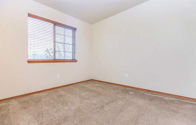 A room with a window and carpeted floor.